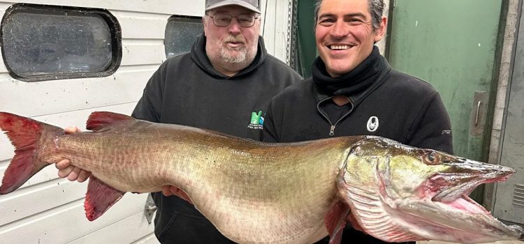 Un record d'État en attente rejeté en raison d'un différend frontalier
