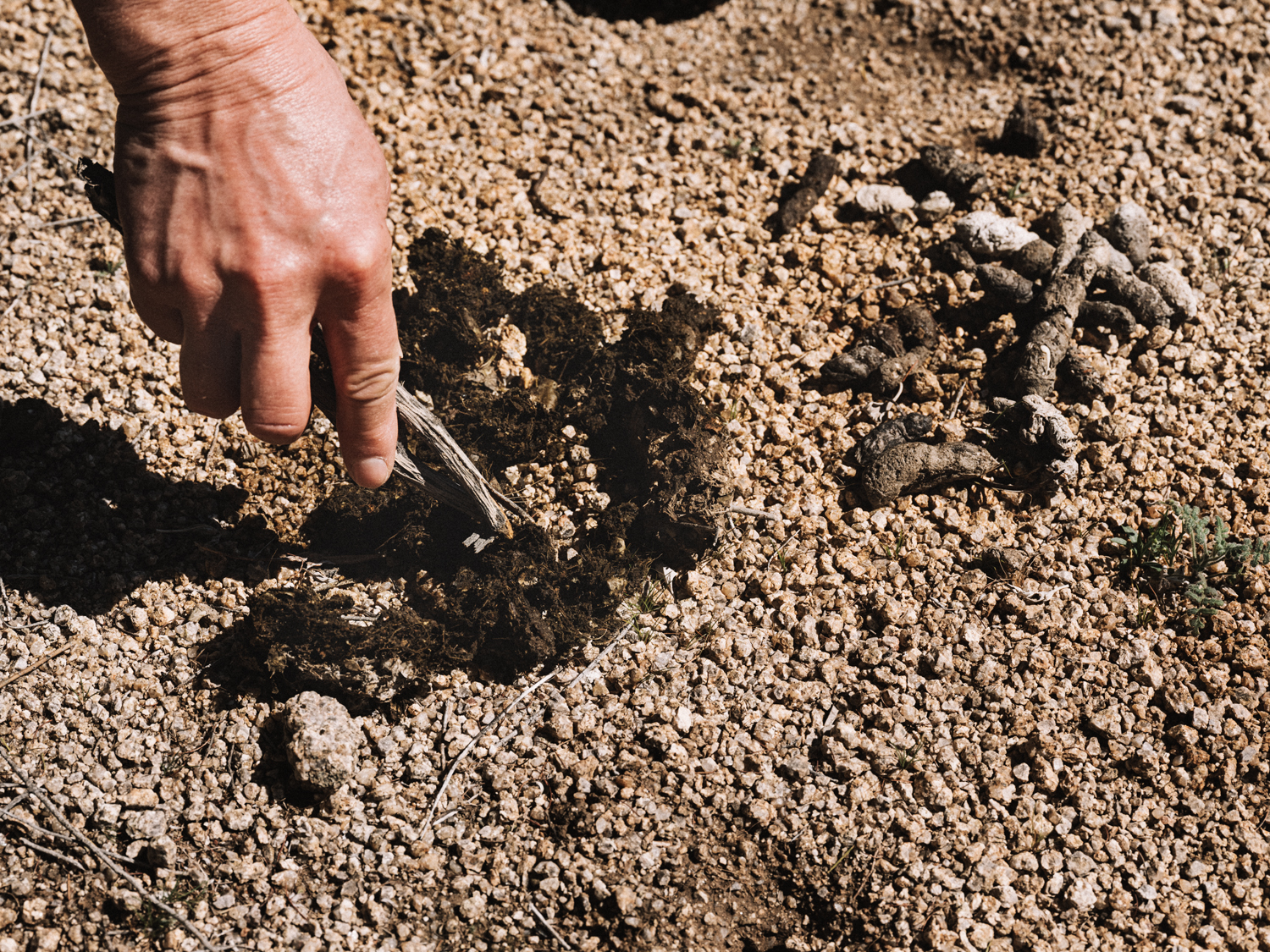 [Titre du site] Cet instructeur de survie veut que vous sachiez que la nature sauvage n'est pas là pour vous attaquer