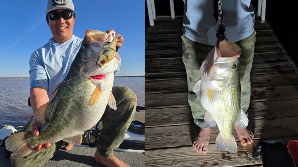 Un guide du Texas attrape sa deuxième basse de 13 livres en deux semaines