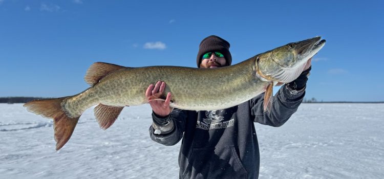 Le premier maskinongé de ce pêcheur est le plus gros capturé au Vermont depuis des décennies
