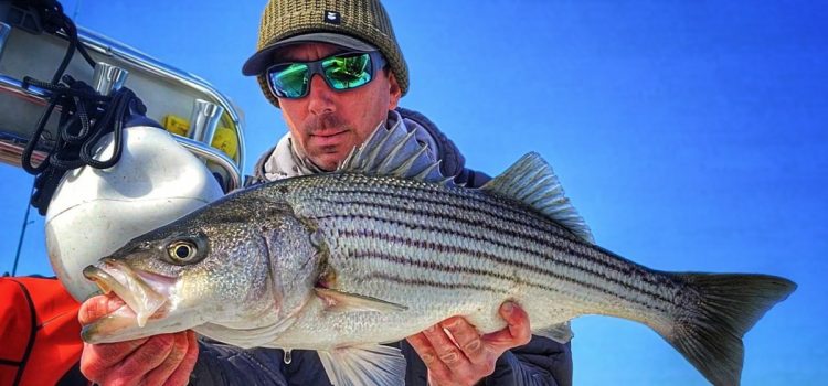 La morsure secrète du Early Striper que la plupart des pêcheurs manquent complètement
