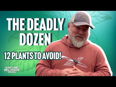[Titre du site] Ce sont les 12 plantes les plus dangereuses qui se cachent à la vue de tous. Combien pouvez-vous en identifier ?