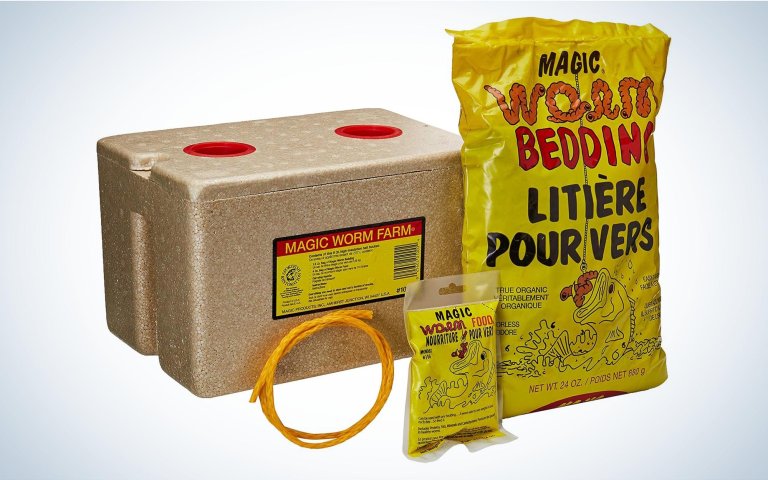 [Titre du site] Comment attraper des Nightcrawlers pour des appâts vivants DIY