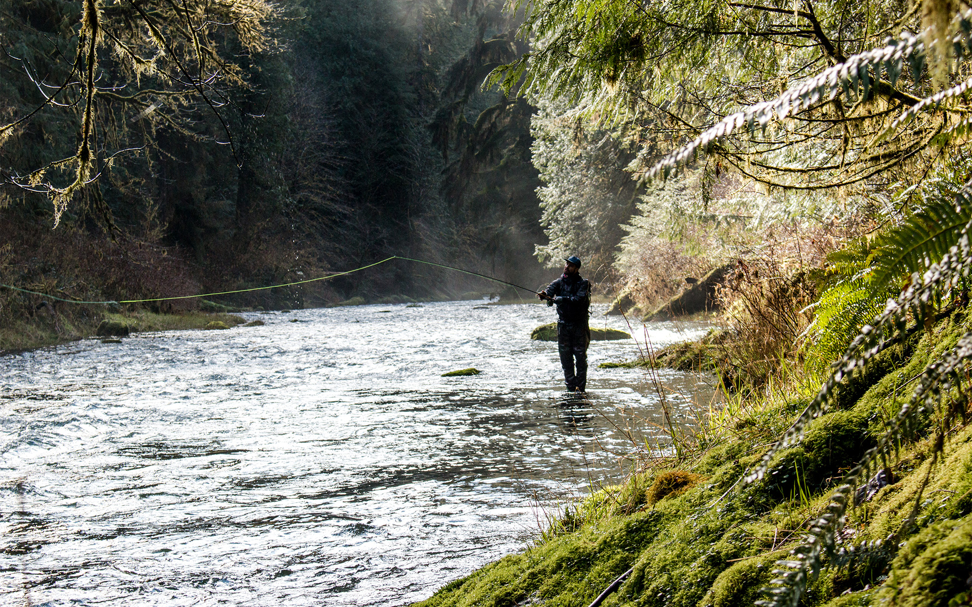 [Titre du site] L'Oregon a trouvé une nouvelle (et intelligente) façon de financer la conservation de la faune