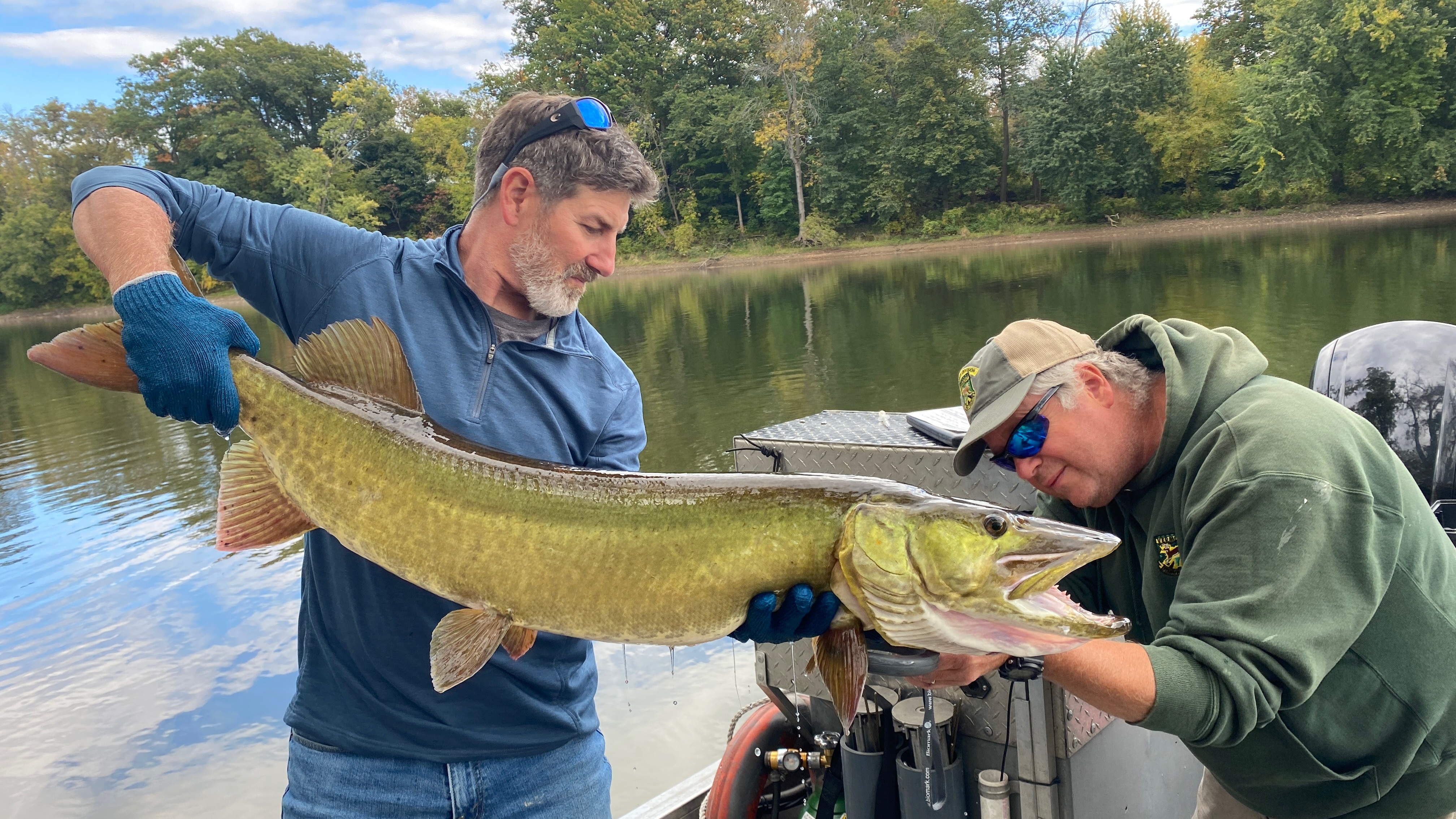 [Titre du site] Le premier maskinongé de ce pêcheur est le plus gros capturé au Vermont depuis des décennies