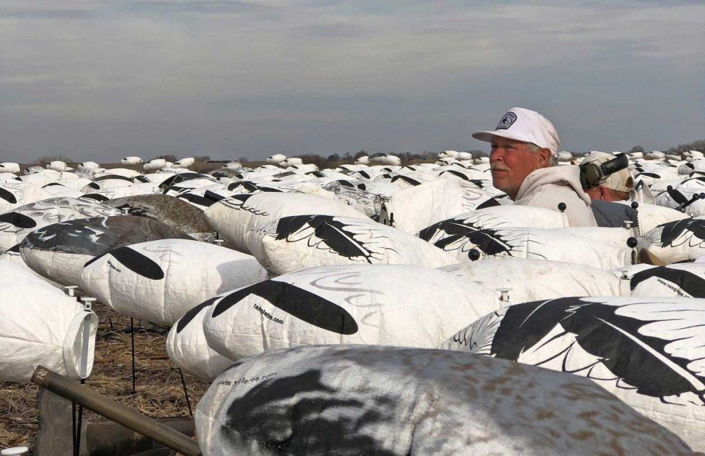 Où chasser les oies des neiges de printemps : ce sont vos meilleurs paris pour les chasses DIY et guidées