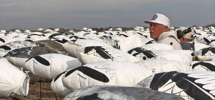 Où chasser les oies des neiges de printemps : ce sont vos meilleurs paris pour les chasses DIY et guidées
