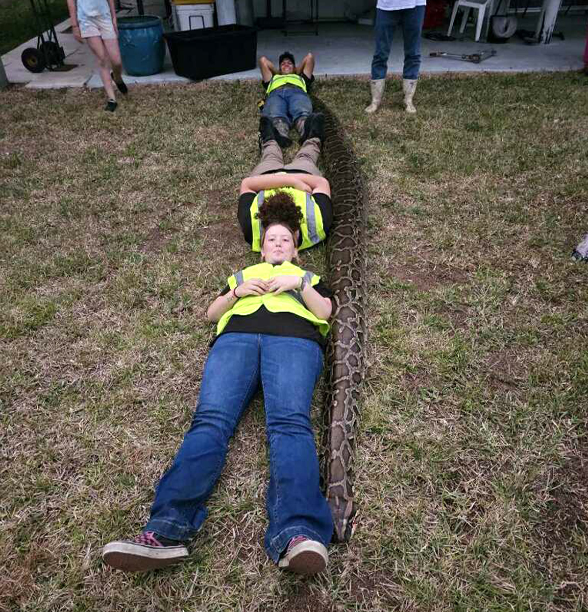 [Titre du site] Qu'est-ce que ça fait de se faire traîner à travers un marais de Floride par un python de 200 livres