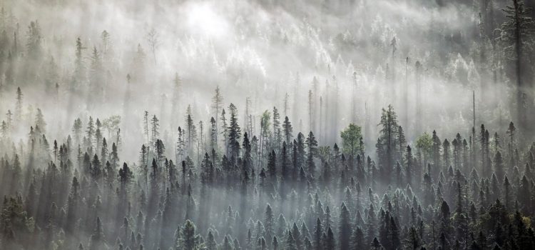 Un enfant perdu s'est promené dans mon camp. C'est un miracle qu'il l'ait trouvé
