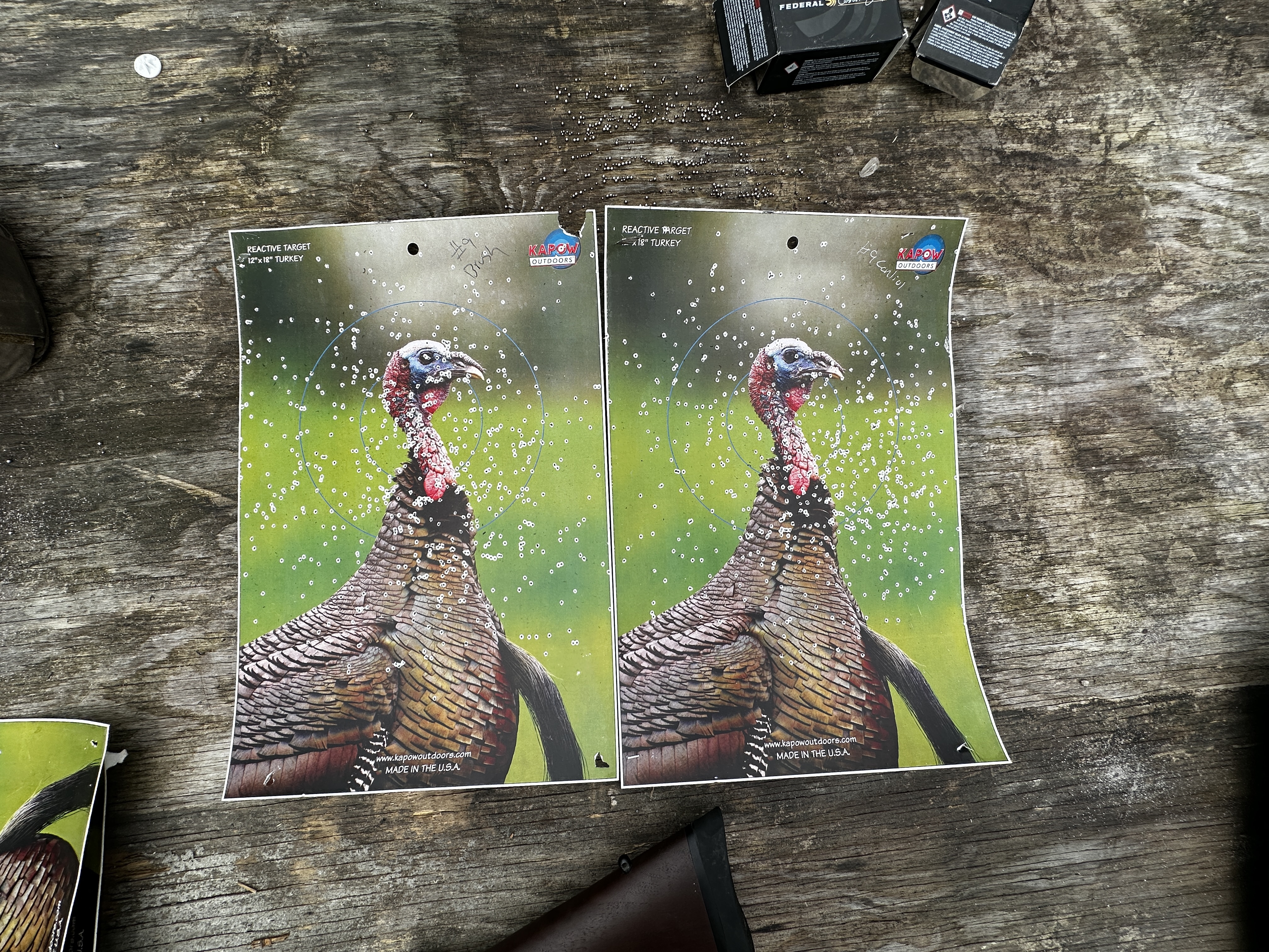 [Titre du site] Nous avons testé les charges de dinde TSS à travers les broussailles et les résultats ont été choquants (vidéo)