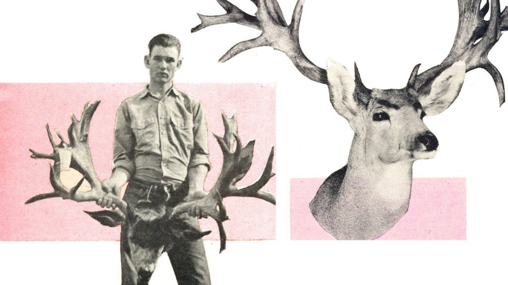 Le chasseur qui a laissé ses bois de record sur la montagne