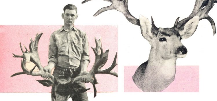 Le chasseur qui a laissé ses bois de record sur la montagne
