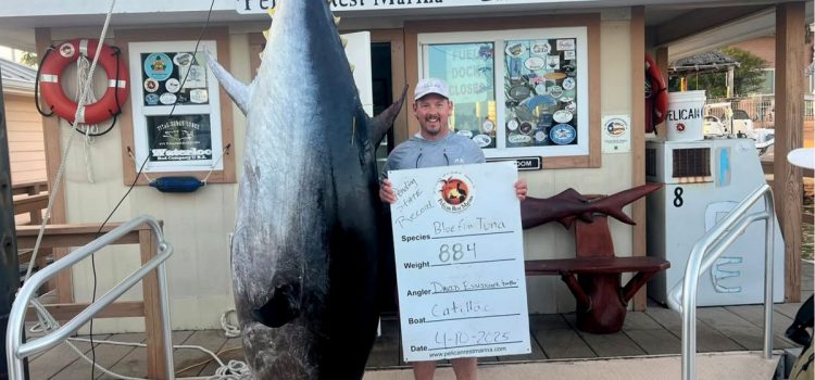 C'est officiel : ce thon gigantesque est le plus gros thon rouge jamais pêché au Texas
