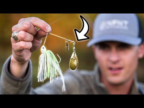 [Titre du site] Comment pêcher un Spinnerbait : ce leurre de bar classique est toujours aussi efficace