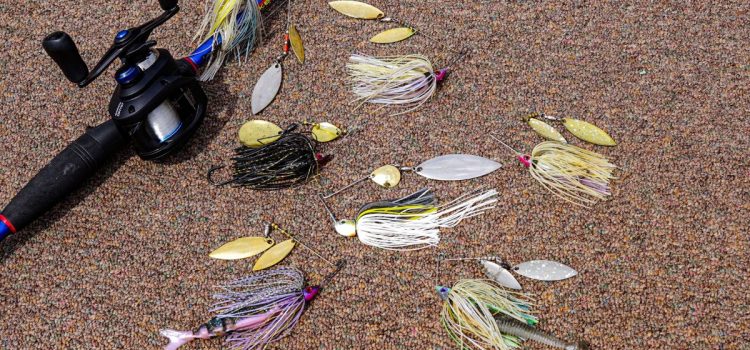 Comment pêcher un Spinnerbait : ce leurre de bar classique est toujours aussi efficace
