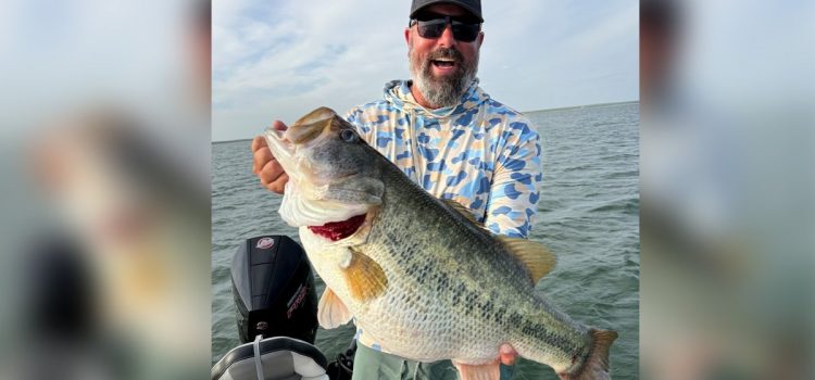 Le programme Texas Trophy Bass termine la saison avec 19 énormes poissons enregistrés, dont ce 14 livres
