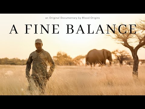 [Titre du site] Le monde de l’activisme contre la chasse et pour les droits des animaux devient de plus en plus étrange