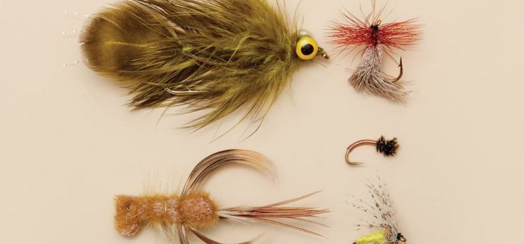 5 mouches à truite négligées et à l'ancienne à lancer ce printemps
