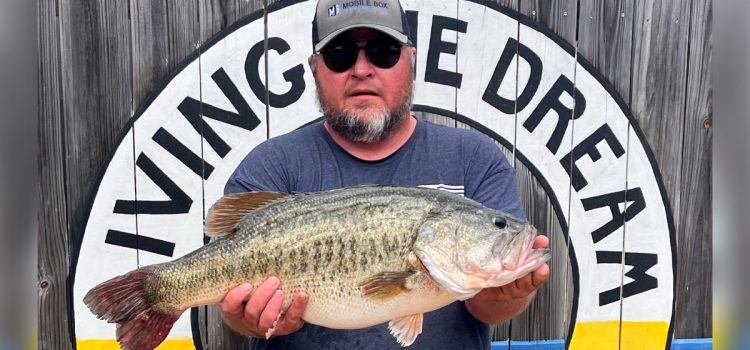 Un pêcheur de bar qui a menti sur l'endroit où il a attrapé un poisson de 12 livres risque désormais 10 ans de prison
