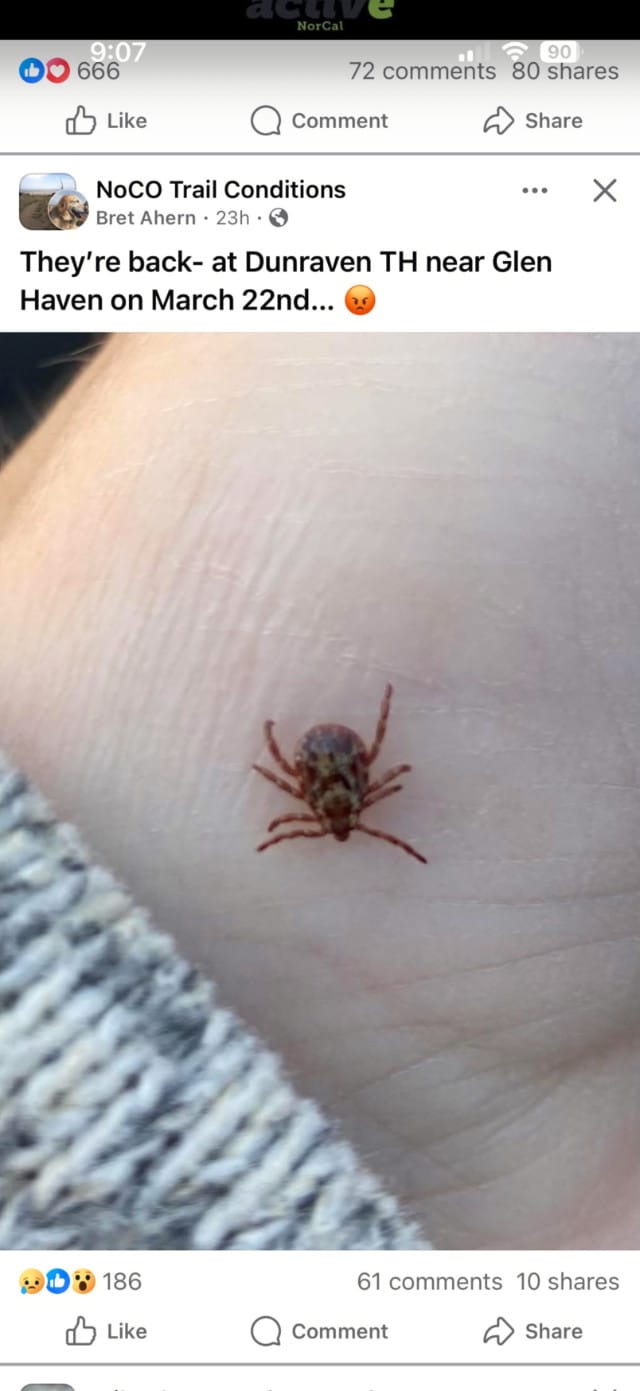 [Titre du site] Examen : Packs faciles de protection contre les insectes