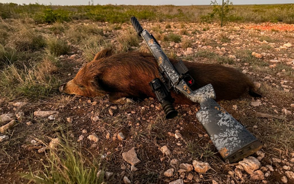 Chasse nocturne 101 : conseils d'experts sur l'équipement, l'optique et les tactiques (vidéo)