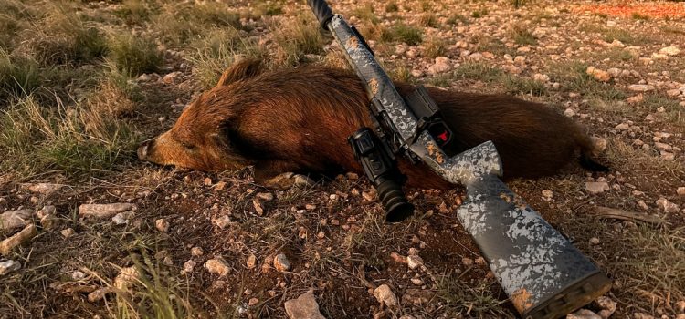 Chasse nocturne 101 : conseils d'experts sur l'équipement, l'optique et les tactiques (vidéo)

