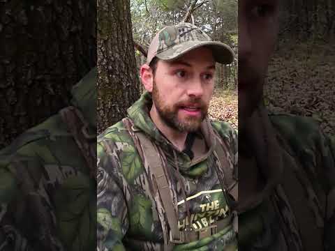 [Titre du site] Cette vidéo virale montre le côté laid de la récolte de dindes. Il est temps de reconsidérer notre culture de chasse au dindon