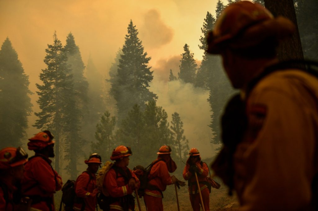 « Tout est prêt à brûler. » L’Ouest se prépare à une brutale saison des incendies