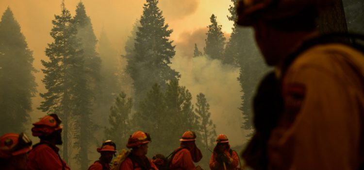 « Tout est prêt à brûler. » L’Ouest se prépare à une brutale saison des incendies

