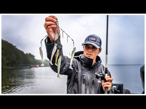 [Titre du site] Comment pêcher le bas de ligne Alabama : l'une des meilleures façons d'attraper un tas de bars avant la ponte