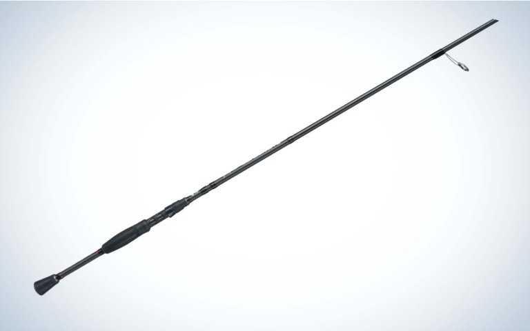 [Titre du site] Comment pêcher avec un montage farfelu : l'un des moyens les plus simples d'attraper du gros bar