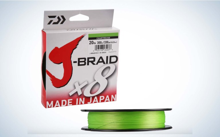 [Titre du site] Comment pêcher avec un montage farfelu : l'un des moyens les plus simples d'attraper du gros bar