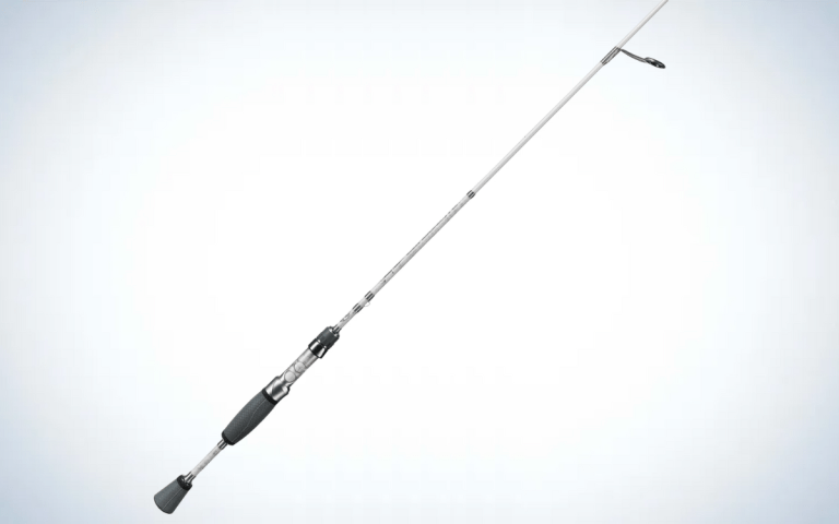 [Titre du site] Comment pêcher le Neko Rig, l'une des meilleures façons d'attraper du gros bar