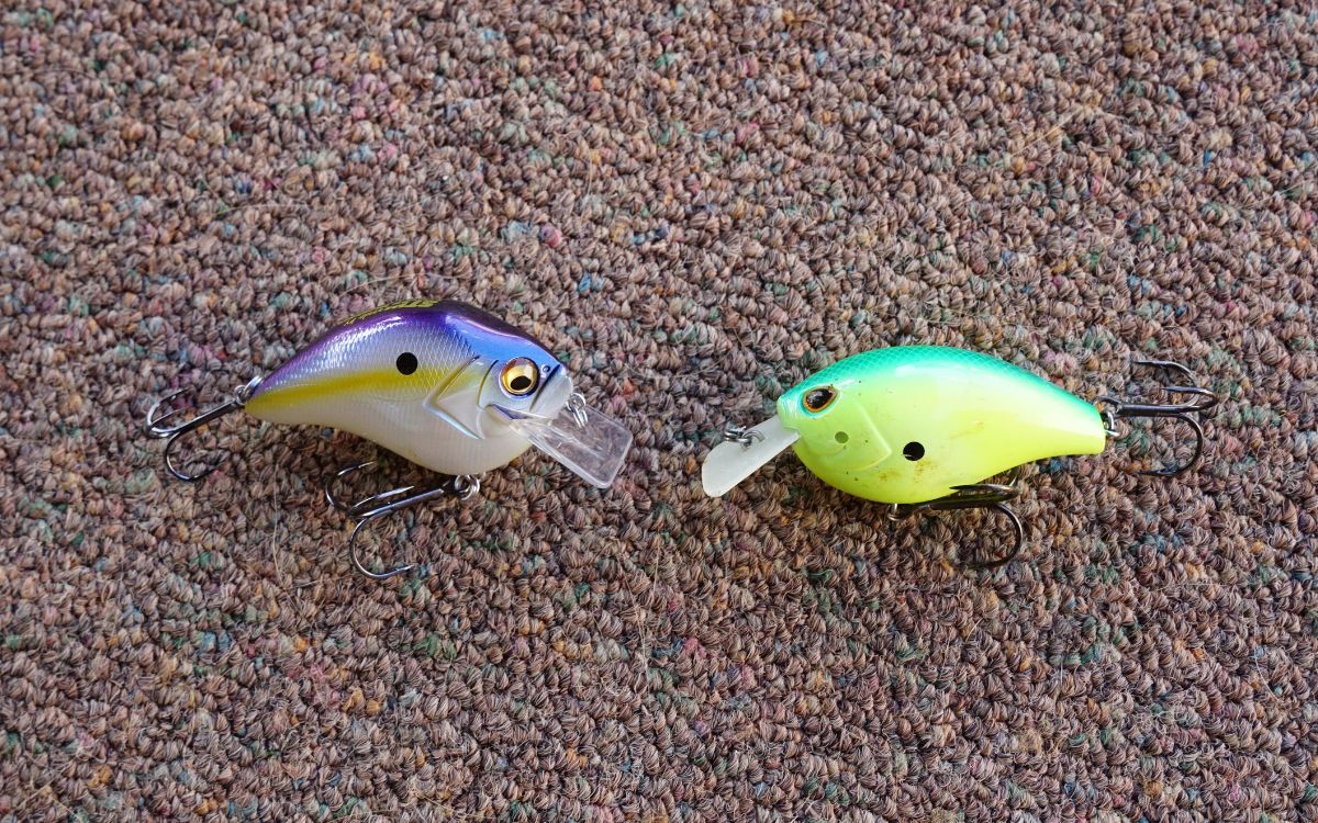 [Titre du site] Comment pêcher un Crankbait Squarebill pour le bar géant de printemps