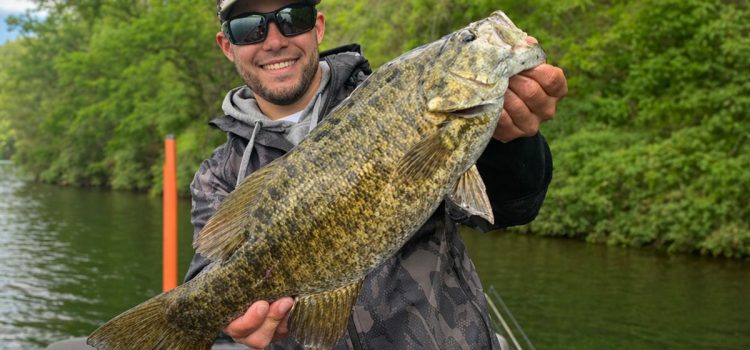 Comment pêcher un Crankbait Squarebill pour le bar géant de printemps
