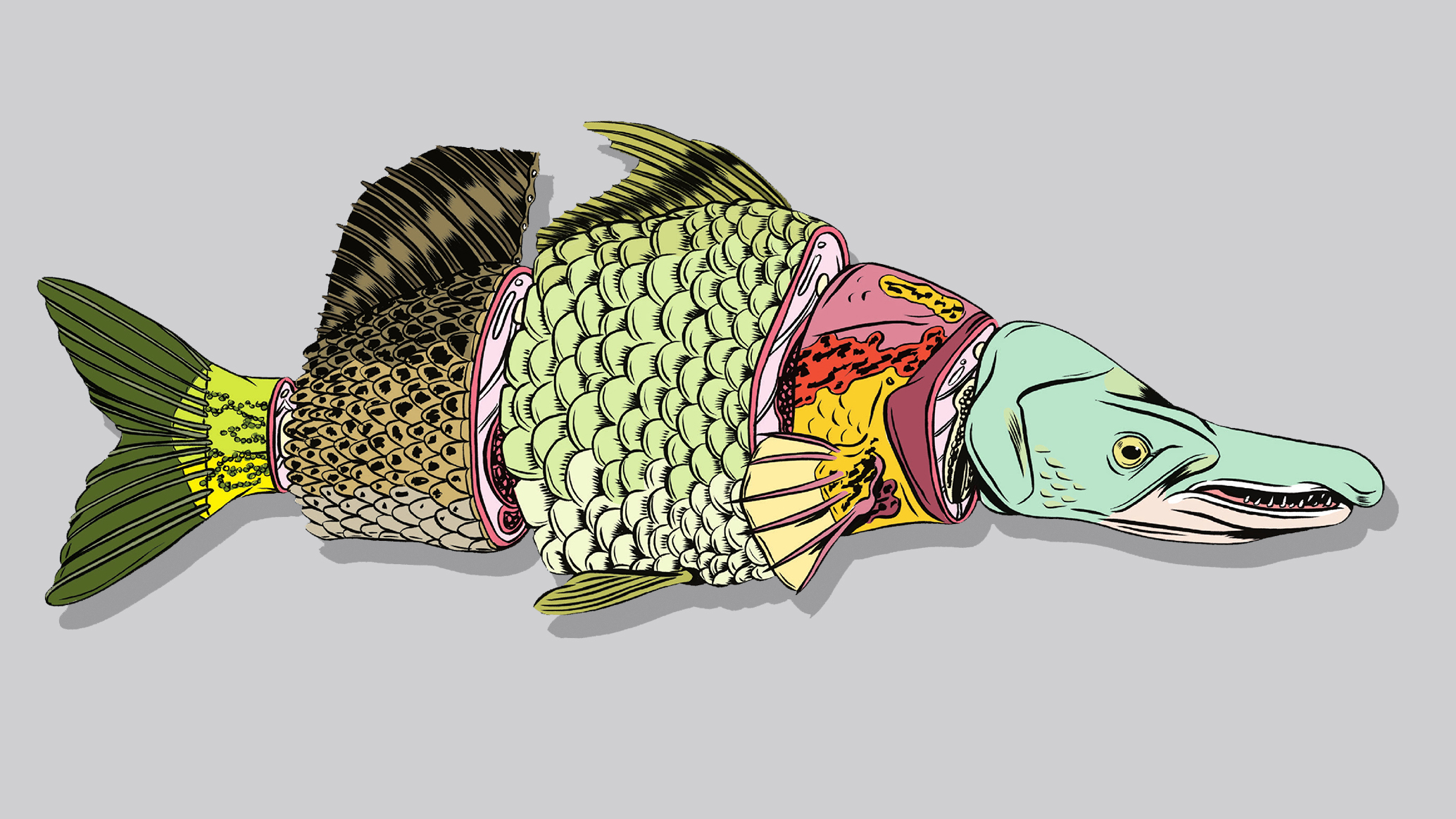 [Titre du site] 4 activités de pêche estivales abordables que tout le monde peut faire