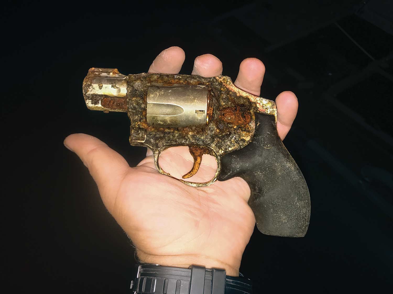 [Titre du site] 5 choses sauvages que nous avons trouvées en pêchant dans les rivières