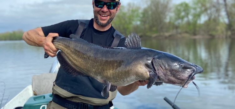 Comment attraper le poisson-chat de rivière – et pourquoi vous devriez le cibler ce printemps

