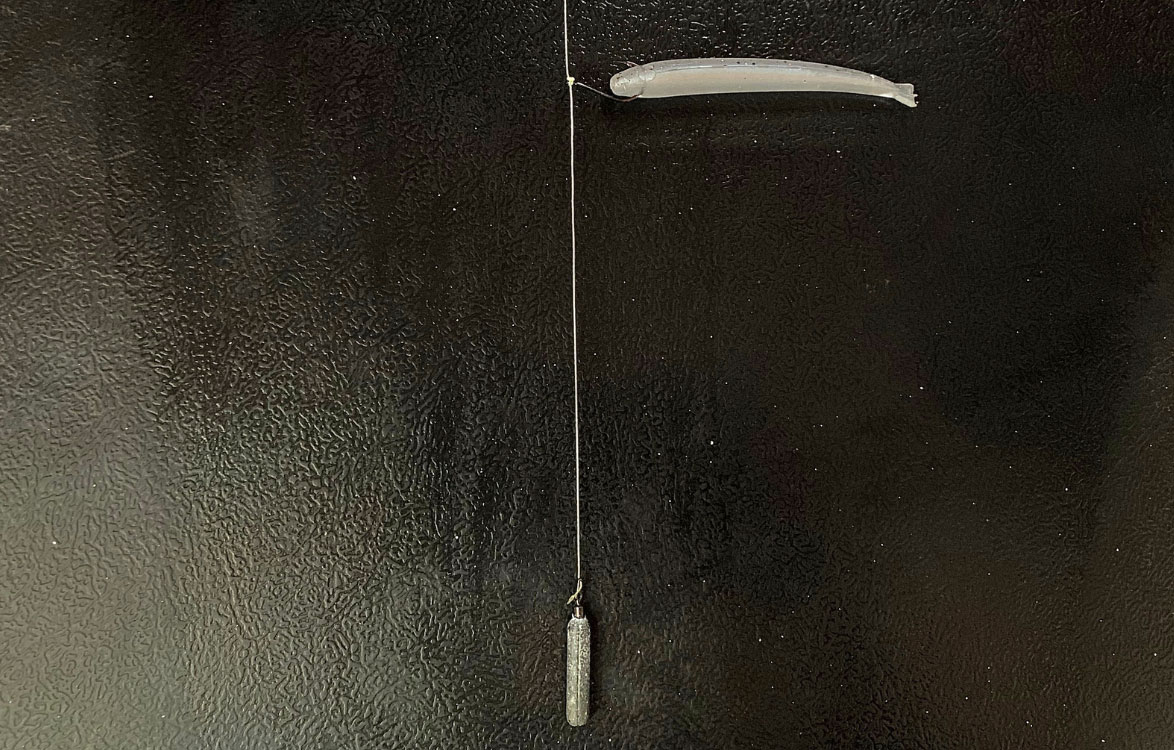 [Titre du site] Comment pêcher un montage Drop Shot – et attraper plus de bar pendant le frai