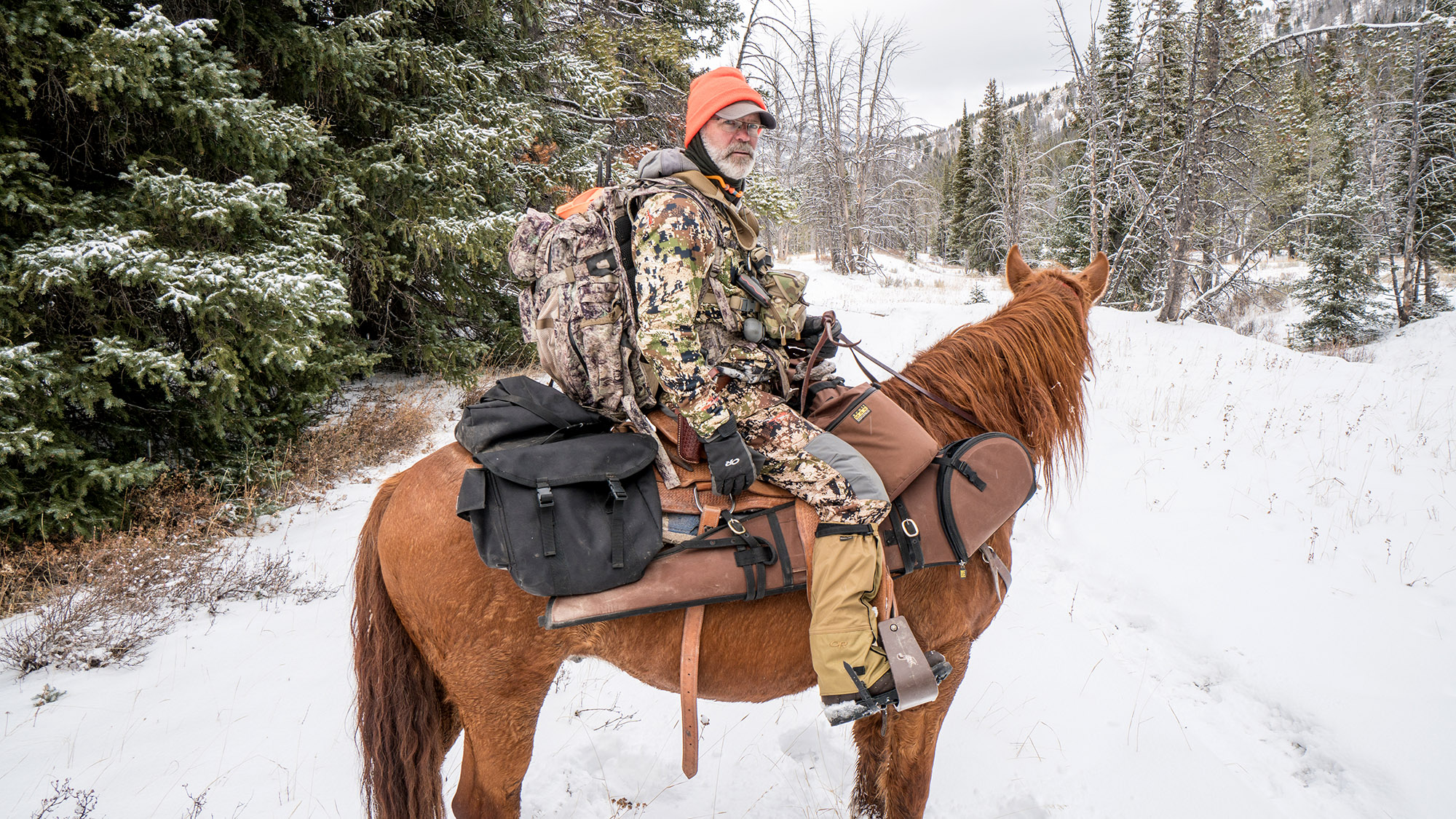 [Titre du site] L'Idaho déclare la chasse comme sport officiel de l'État et demande de l'aide pour choisir une arme à feu d'État