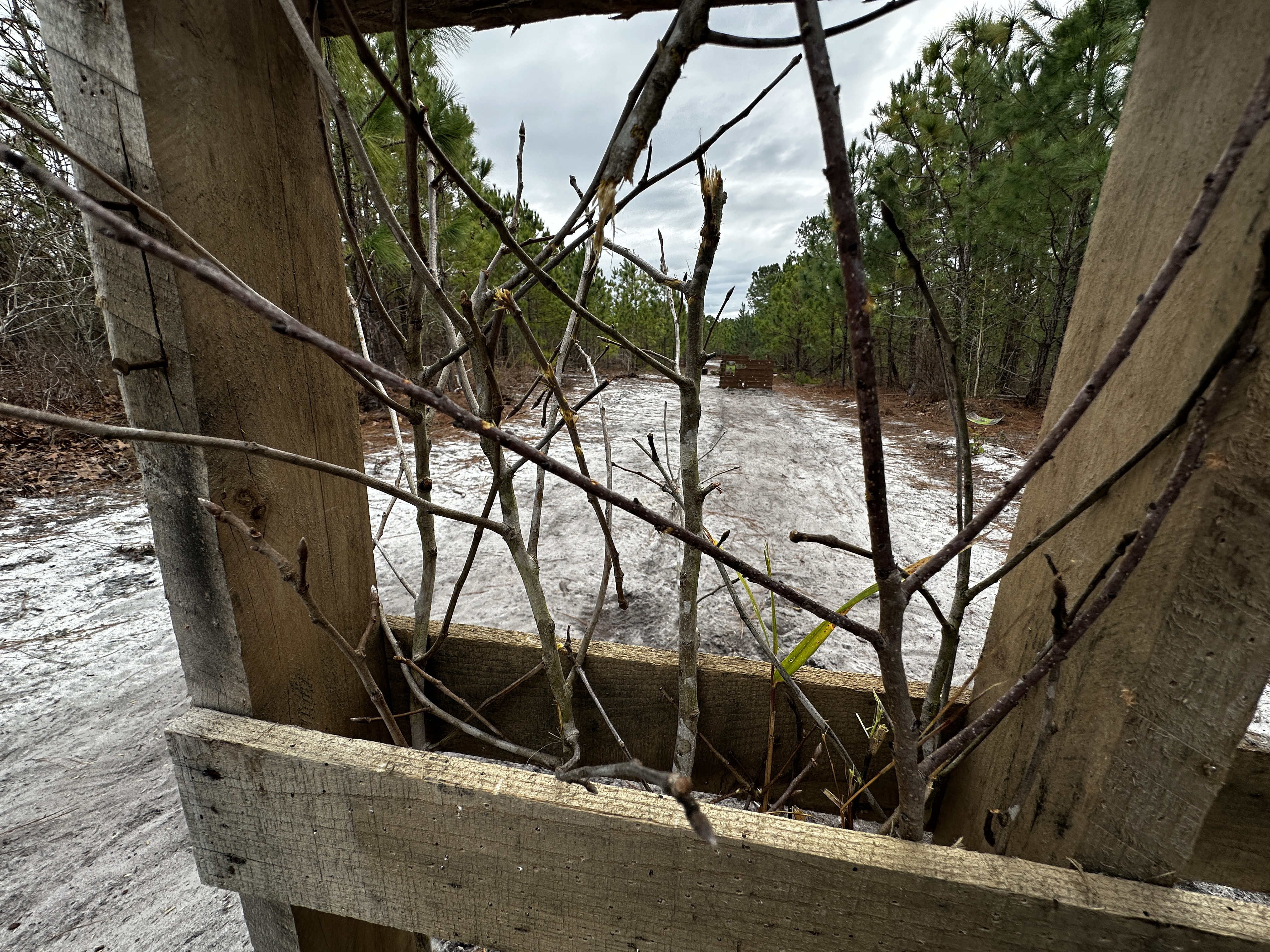 [Titre du site] Nous avons testé les charges de dinde TSS à travers les broussailles et les résultats ont été choquants (vidéo)