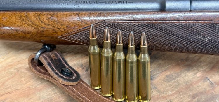 Les balles modernes peuvent transformer l’ancien .220 Swift en une cartouche de chasse encore meilleure
