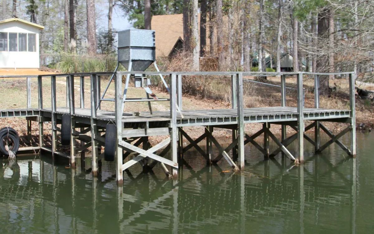 [Titre du site] Comment pêcher un quai pour le bar géant et le panfish