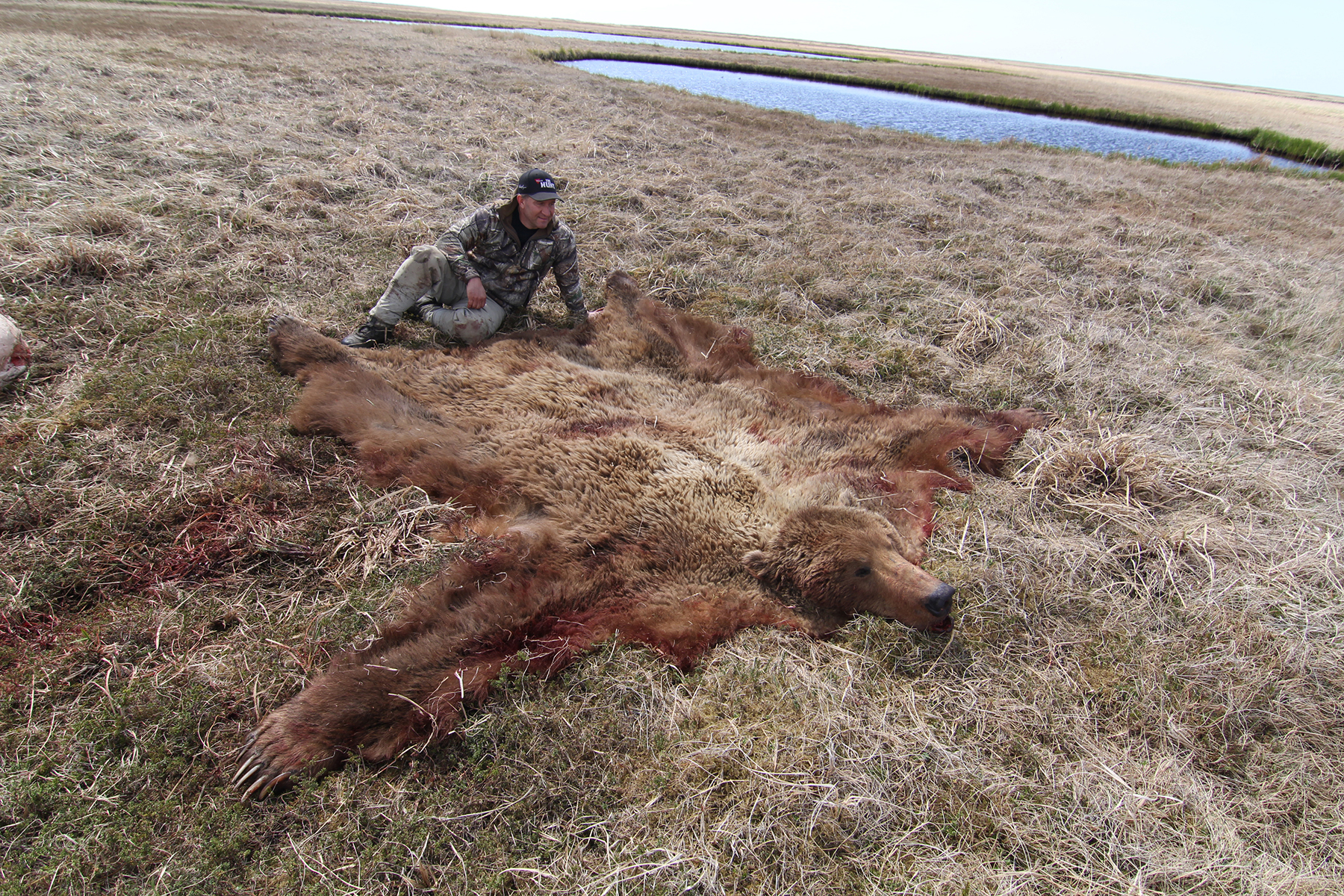 [Titre du site] Traquer cet énorme ours brun côtier a été la plus grande expérience de ma carrière de chasseur