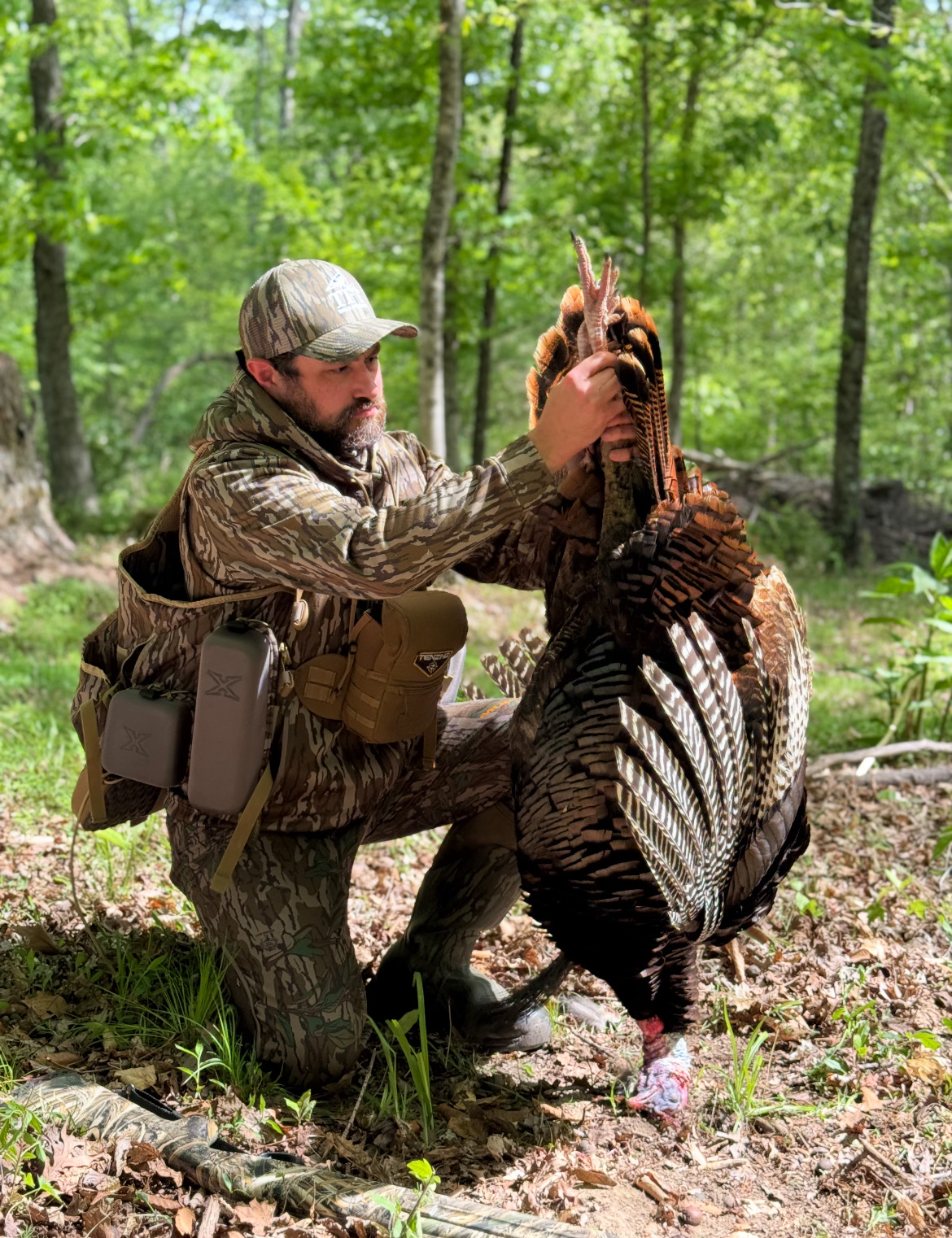 [Titre du site] 17 conseils sournois pour la chasse à la dinde en fin de saison pour cibler les Toms sous pression