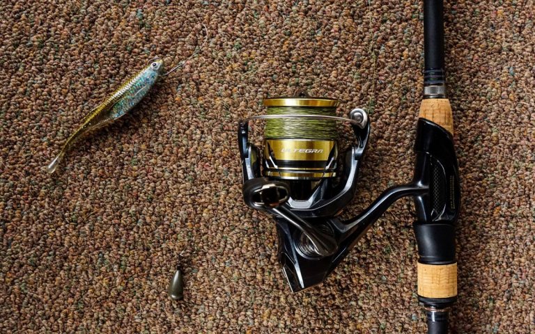 [Titre du site] Comment pêcher les ponts pour le bar géant et le panfish