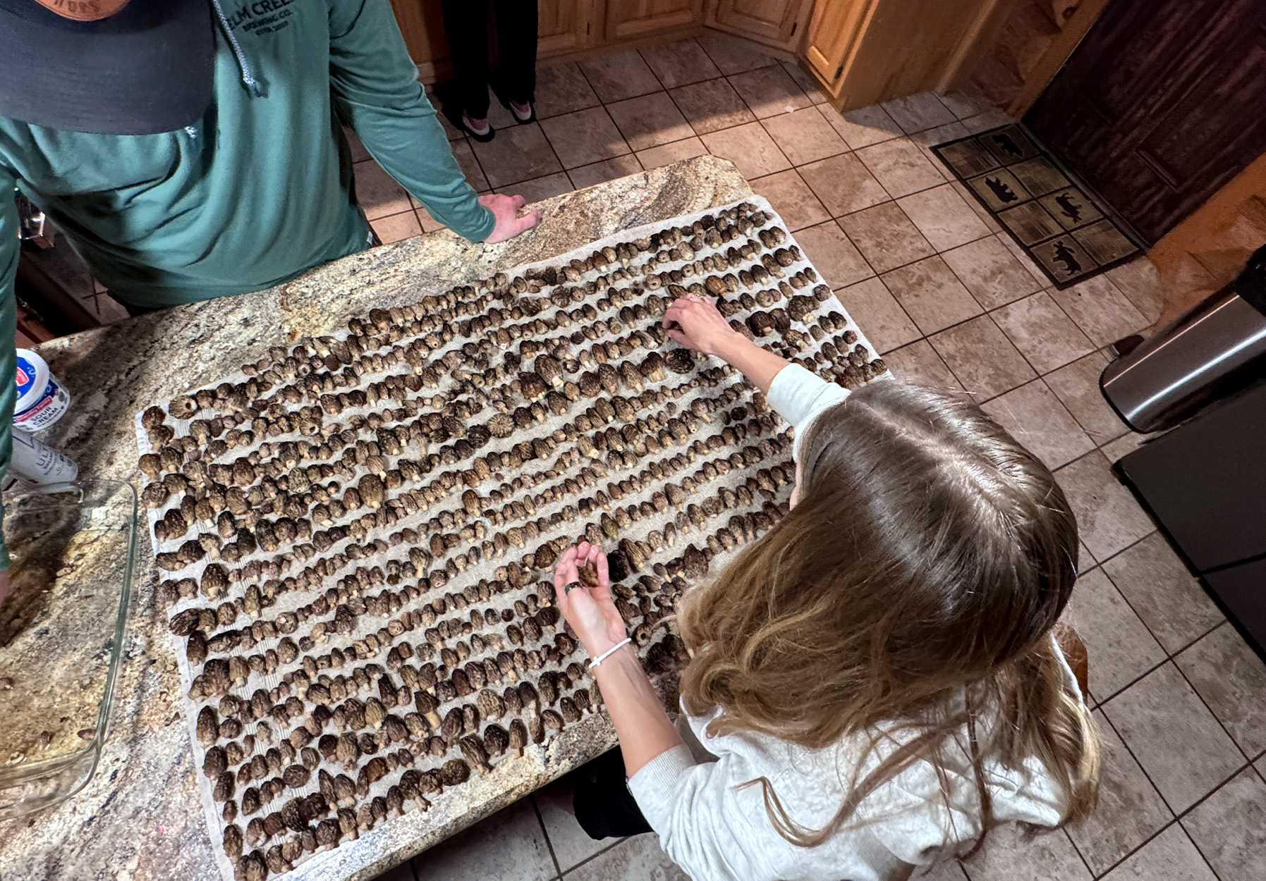 [Titre du site] Les chasseurs de champignons du Minnesota transportent 1 500 morilles à partir d’un seul endroit