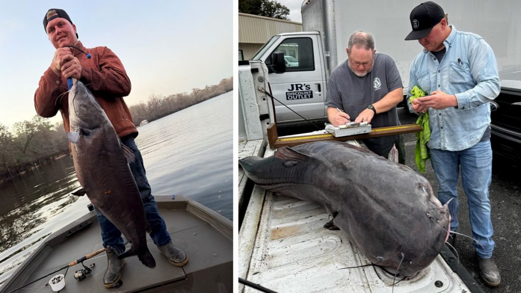 « Choqué par ce que nous avons attrapé. » Un pêcheur de Floride attrape un nouveau poisson-chat record sur sa rivière natale