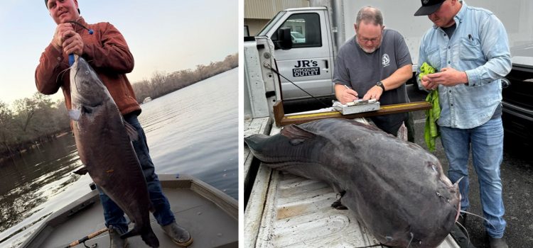 « Choqué par ce que nous avons attrapé. » Un pêcheur de Floride attrape un nouveau poisson-chat record sur sa rivière natale
