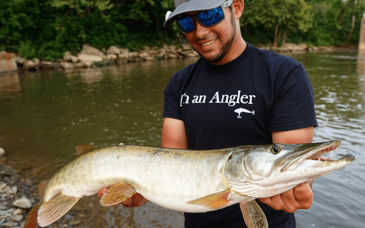 [Titre du site] The Ned Rig : un guide complet sur les appâts, l'équipement et comment le pêcher